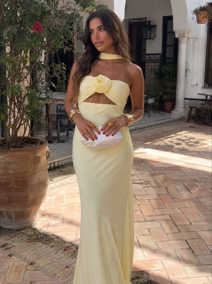 Corrie│Robe Maxi à Bretelles avec Corsage en Roses